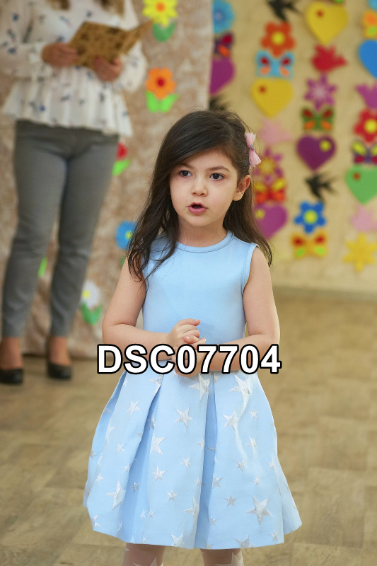 DSC07704