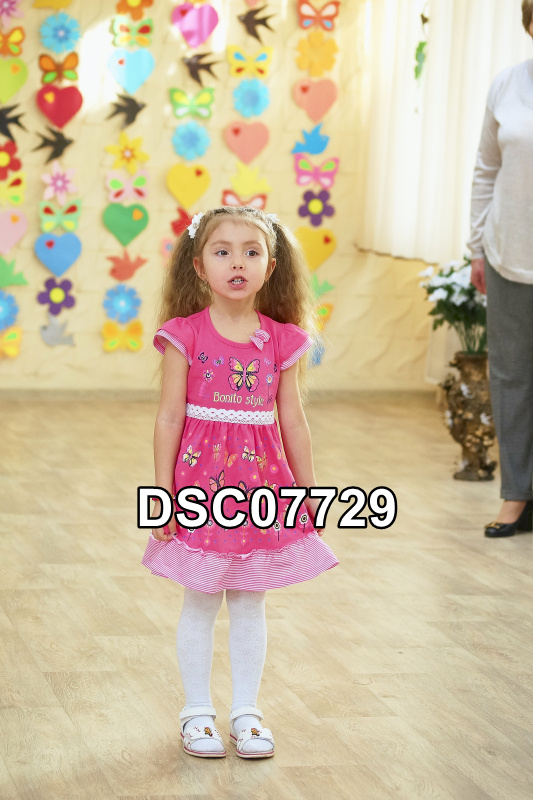 DSC07729