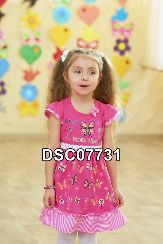 DSC07731