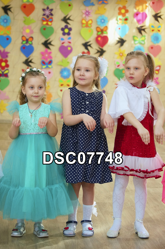 DSC07748