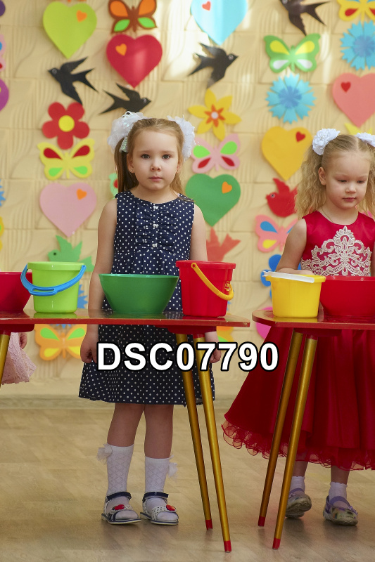 DSC07790