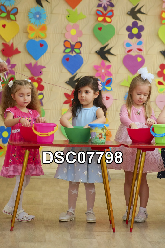 DSC07798