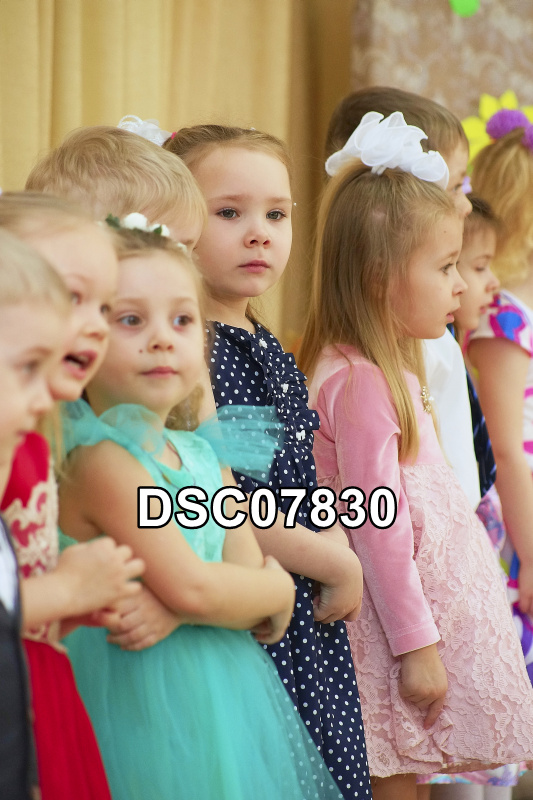 DSC07830