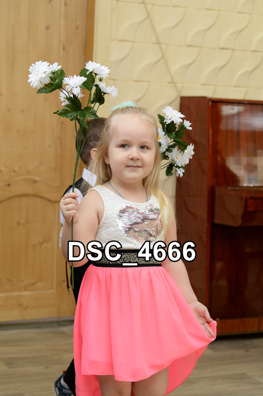 DSC4666