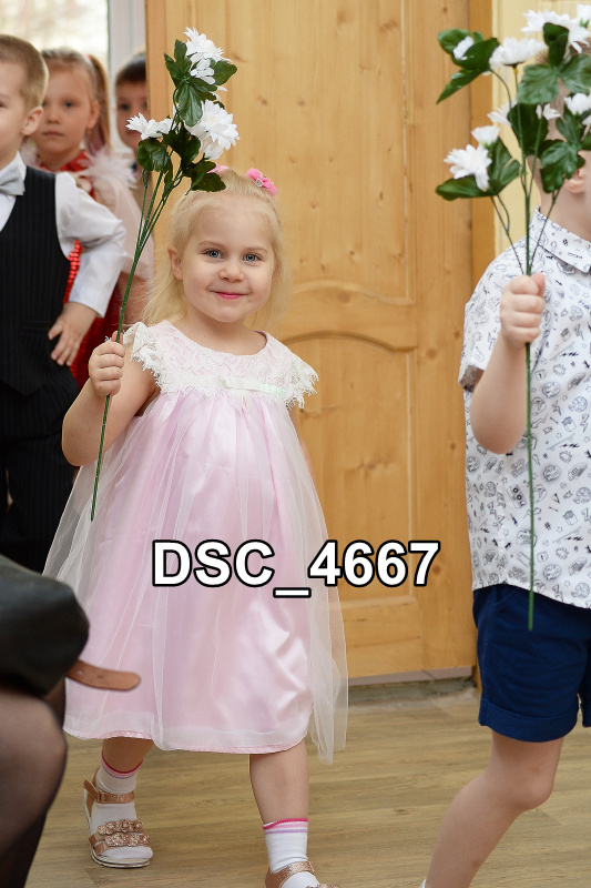 DSC4667