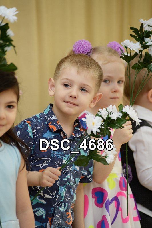 DSC4686