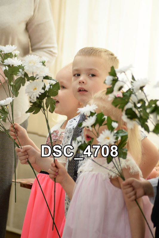 DSC4708