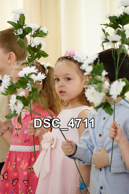 DSC4711