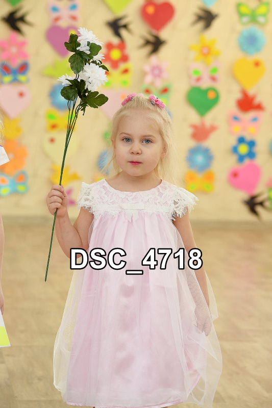 DSC4718