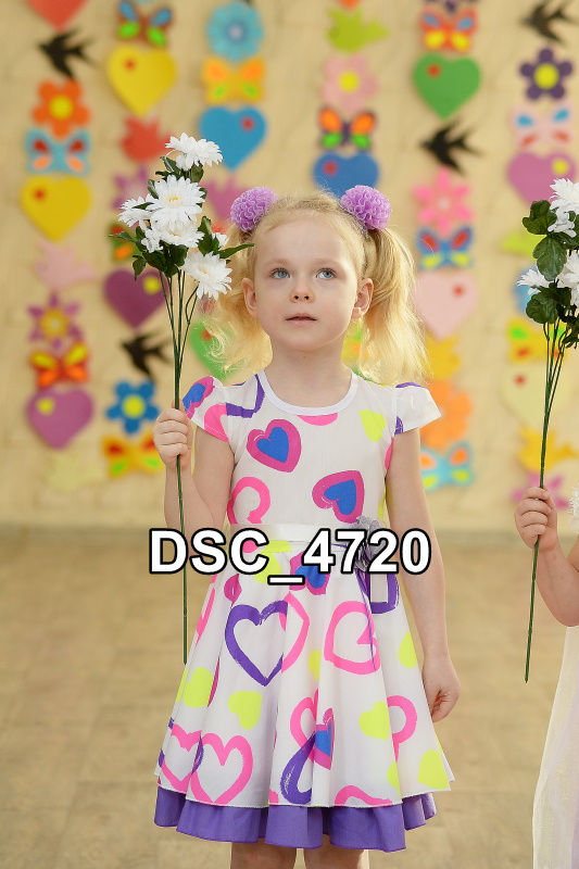 DSC4720