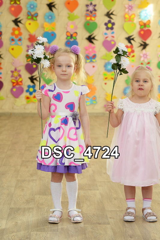 DSC4724