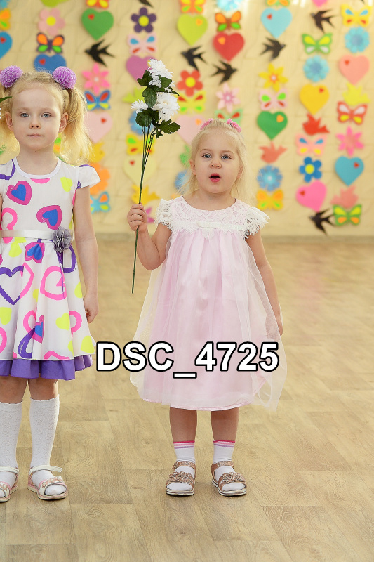 DSC4725