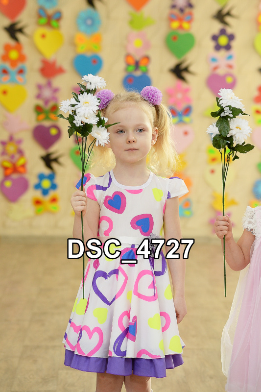 DSC4727