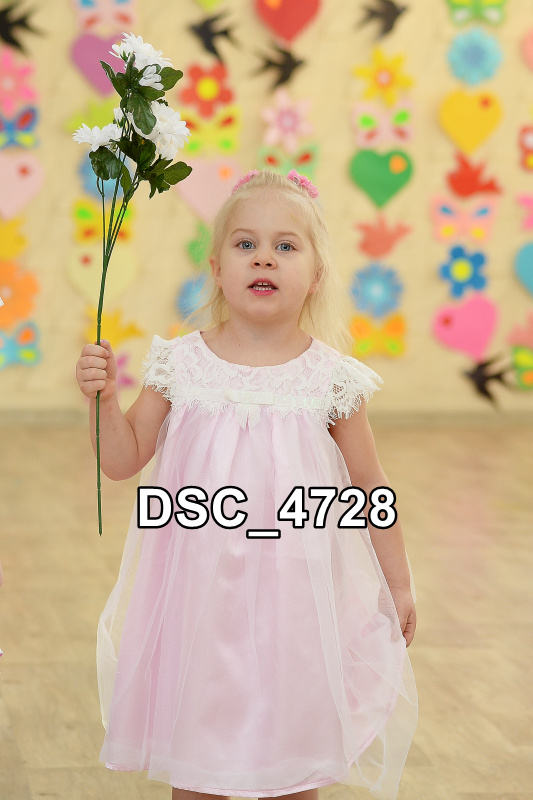 DSC4728