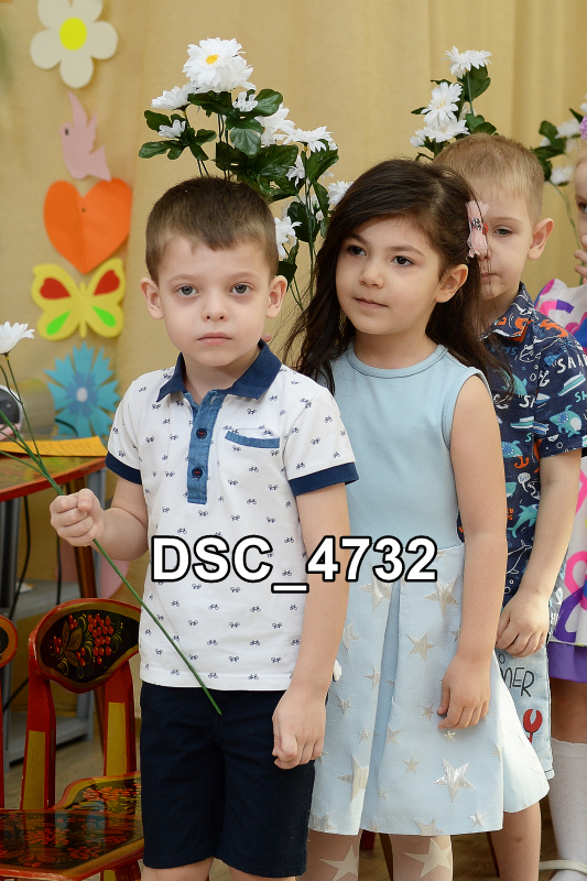 DSC4732