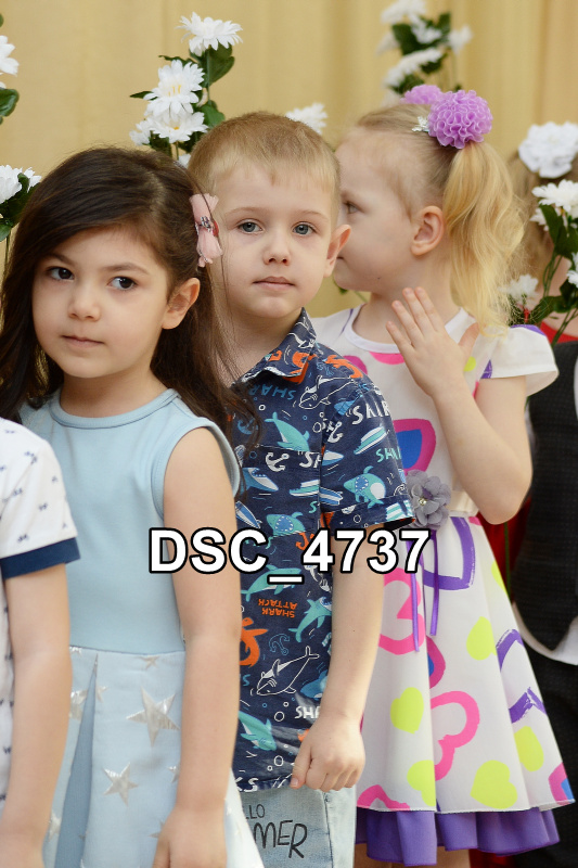 DSC4737