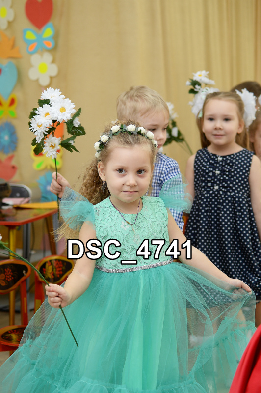 DSC4741