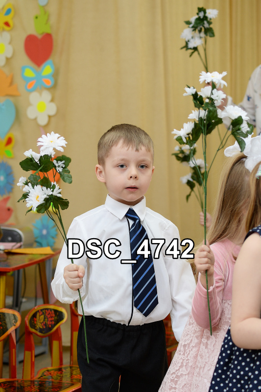 DSC4742