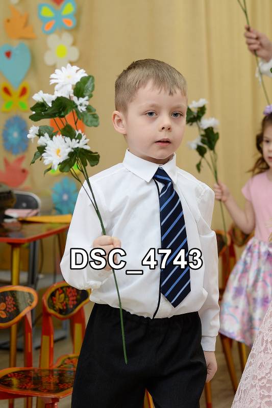 DSC4743