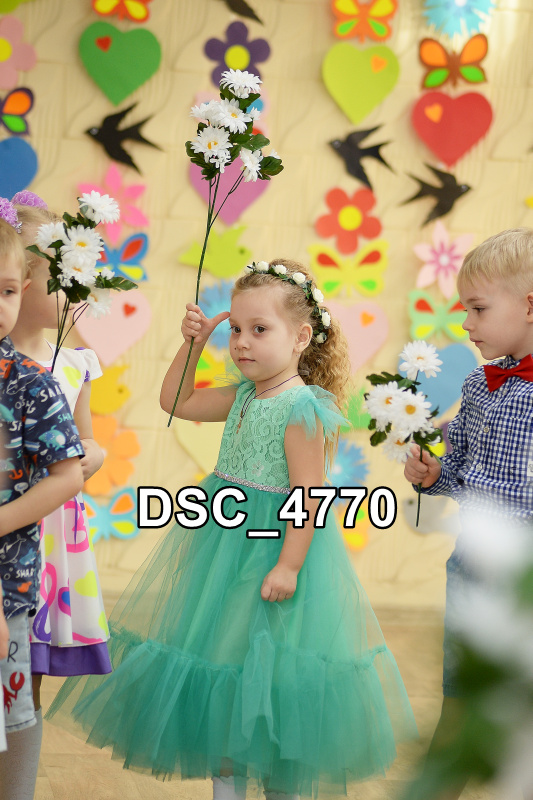 DSC4770