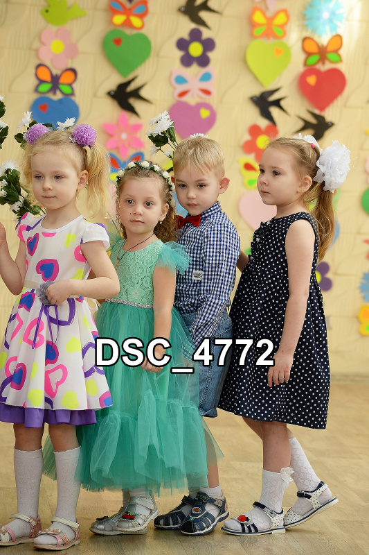 DSC4772