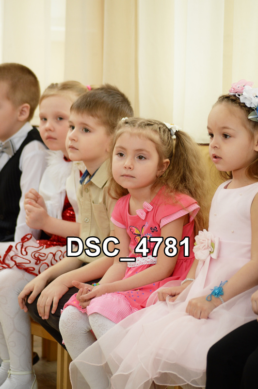 DSC4781