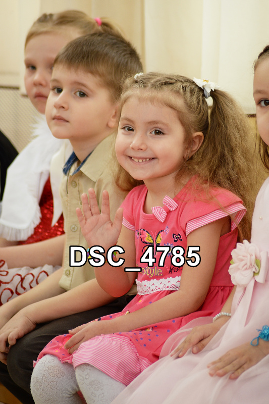 DSC4785